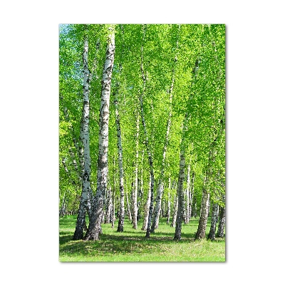 Quadro vetro acrilico verticale Foresta di betulle