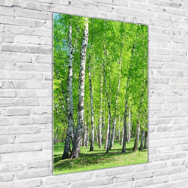 Quadro vetro acrilico verticale Foresta di betulle