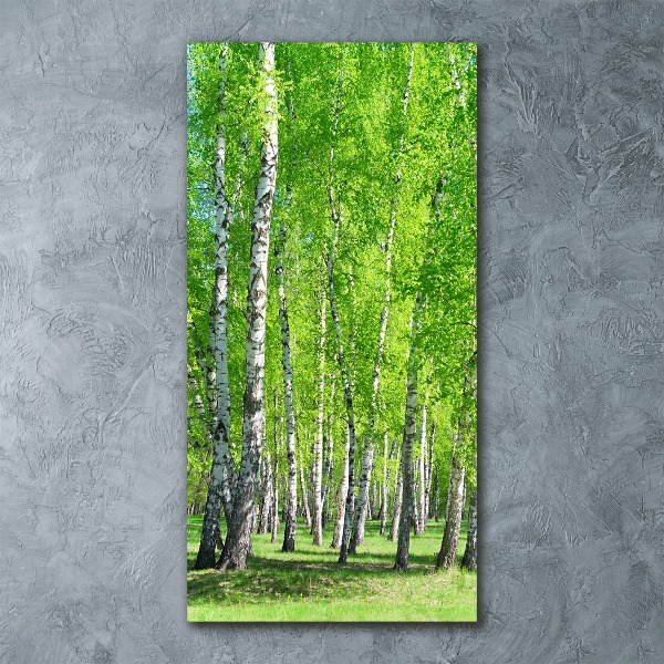 Quadro vetro acrilico verticale Foresta di betulle