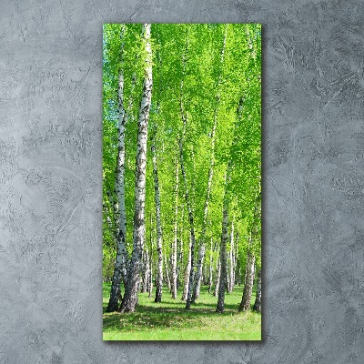 Quadro vetro acrilico verticale Foresta di betulle