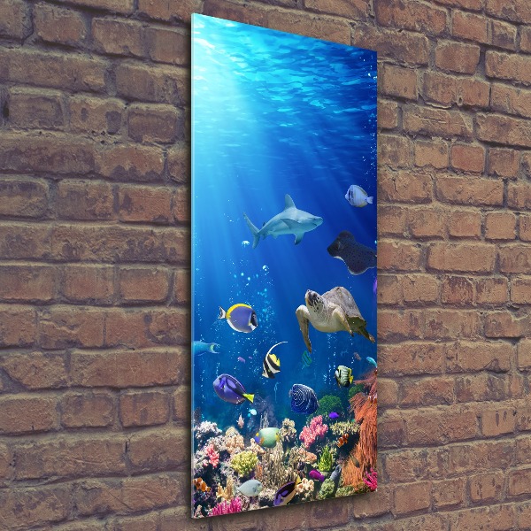 Quadro acrilico verticale Barriera corallina