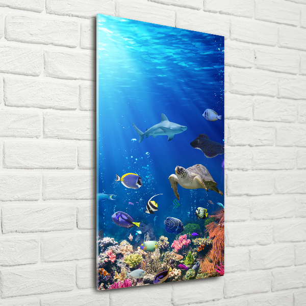 Quadro acrilico verticale Barriera corallina