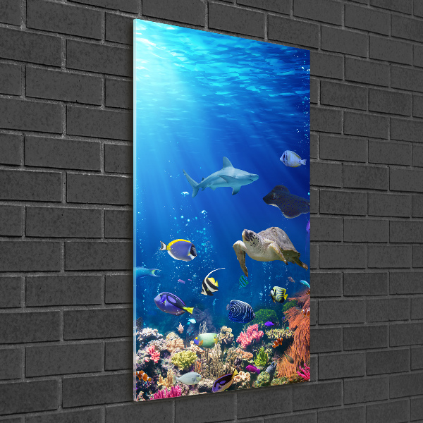 Quadro acrilico verticale Barriera corallina