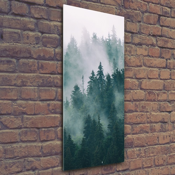 Quadro in vetro acrilico verticale Nebbia sulla foresta
