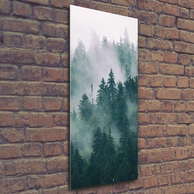 Quadro in vetro acrilico verticale Nebbia sulla foresta