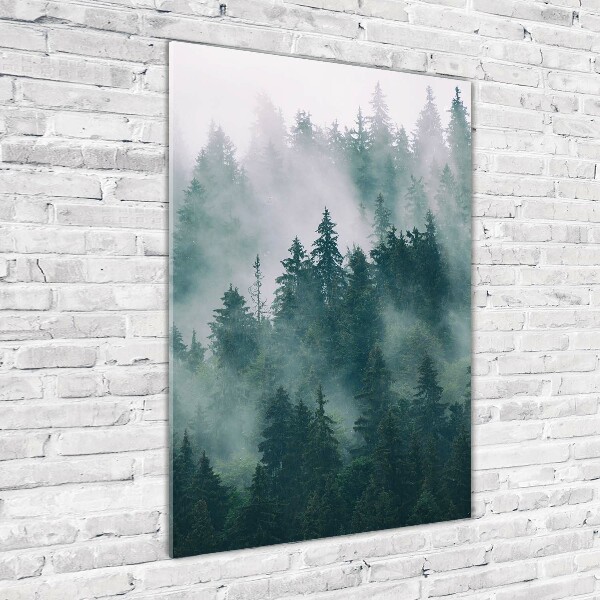 Quadro in vetro acrilico verticale Nebbia sulla foresta