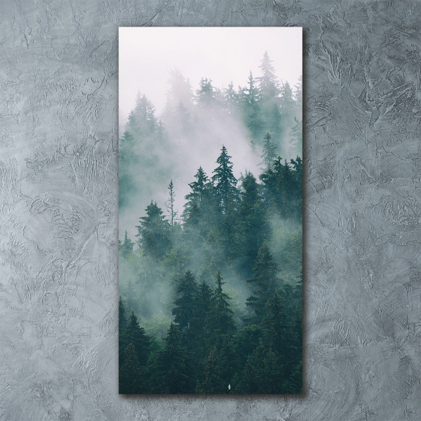 Quadro in vetro acrilico verticale Nebbia sulla foresta
