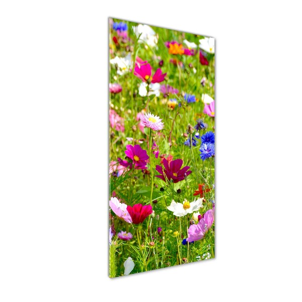 Quadro vetro acrilico verticale Fiori selvatici