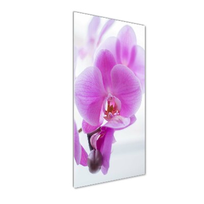 Quadro vetro acrilico verticale Orchidea rosa