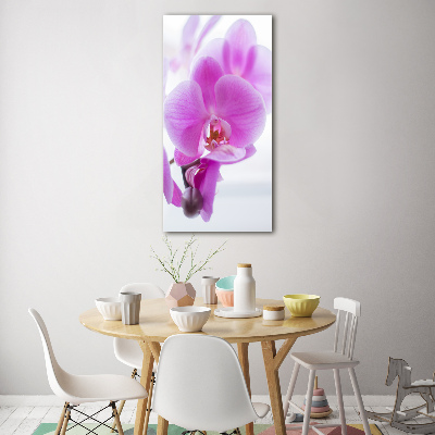 Quadro vetro acrilico verticale Orchidea rosa