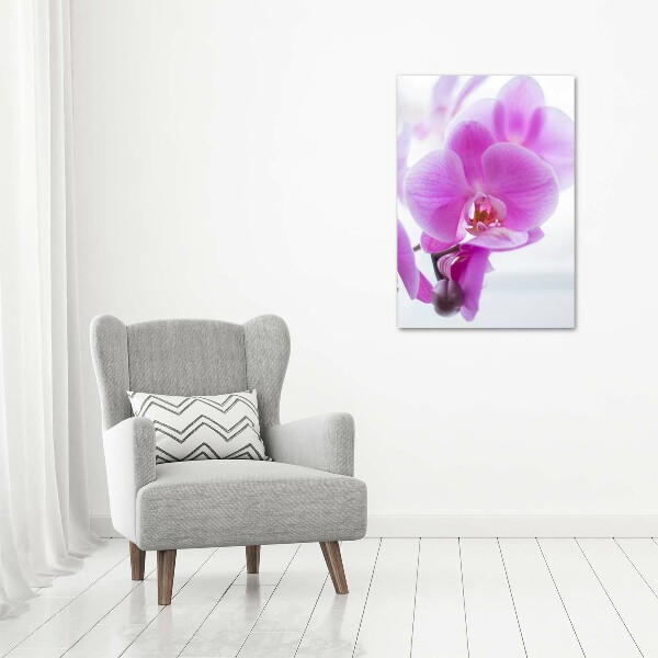 Quadro vetro acrilico verticale Orchidea rosa