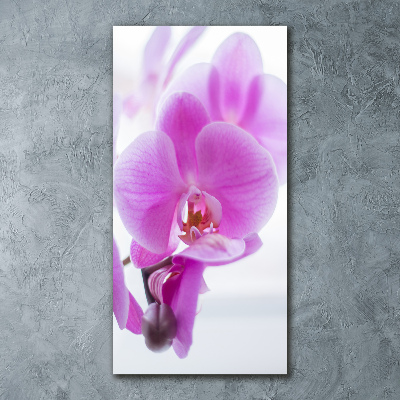 Quadro vetro acrilico verticale Orchidea rosa