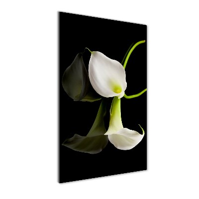 Quadro acrilico verticale Calla bianca
