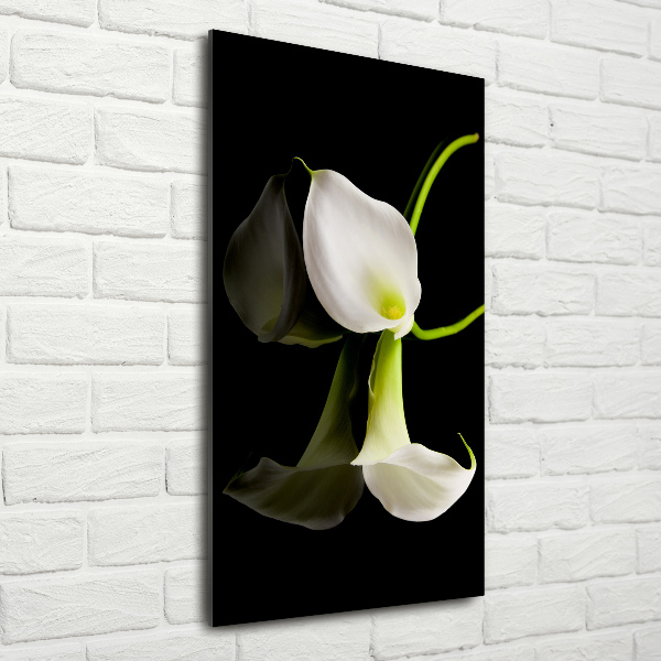 Quadro acrilico verticale Calla bianca