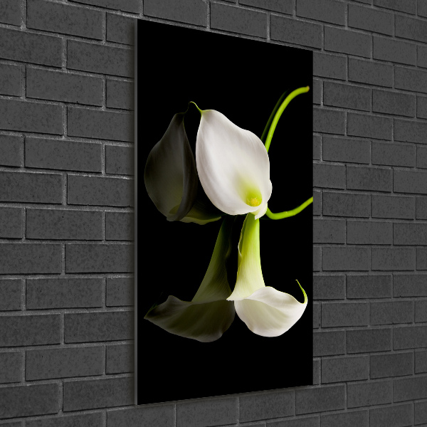Quadro acrilico verticale Calla bianca