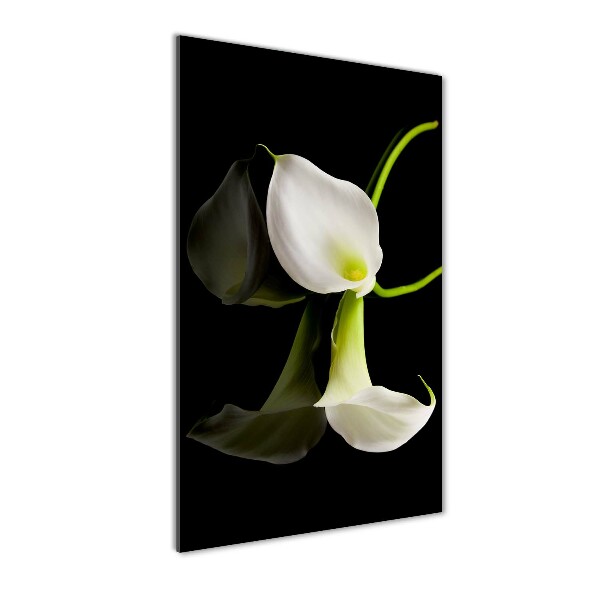 Quadro acrilico verticale Calla bianca