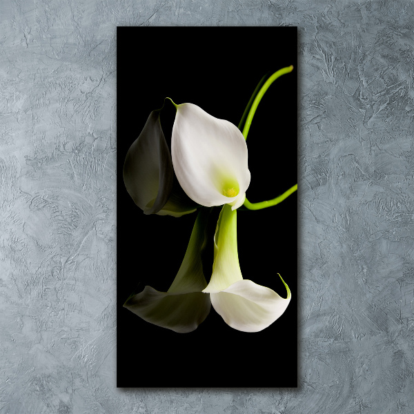 Quadro acrilico verticale Calla bianca