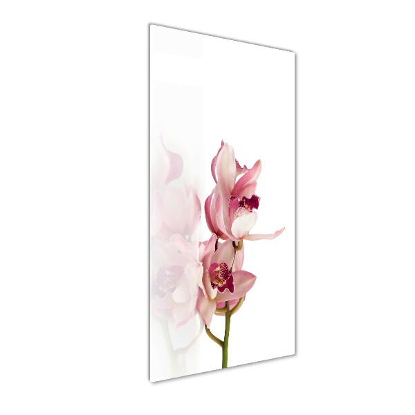 Quadro stampa su vetro acrilico verticale Orchidea rosa