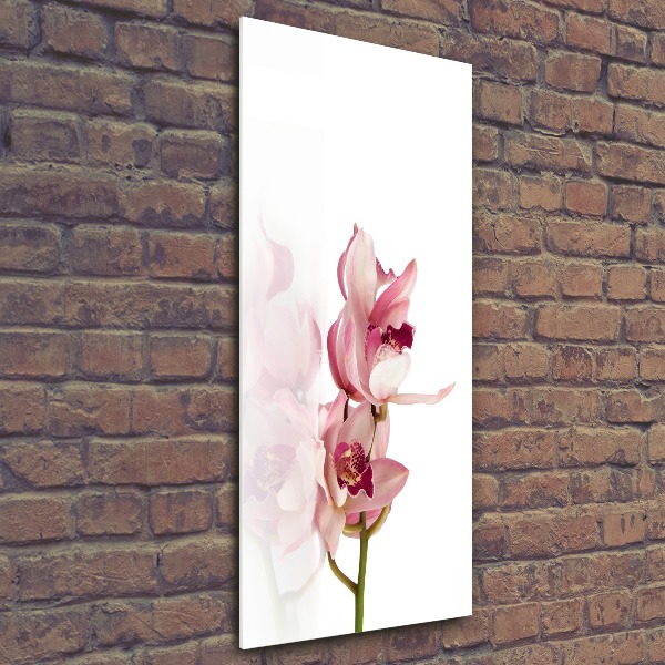 Quadro stampa su vetro acrilico verticale Orchidea rosa