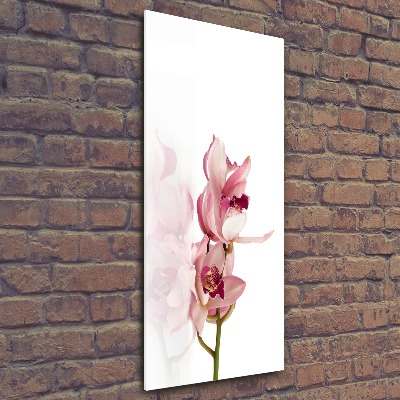 Quadro stampa su vetro acrilico verticale Orchidea rosa
