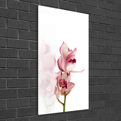 Quadro stampa su vetro acrilico verticale Orchidea rosa