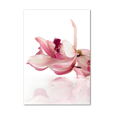 Quadro stampa su vetro acrilico verticale Orchidea rosa