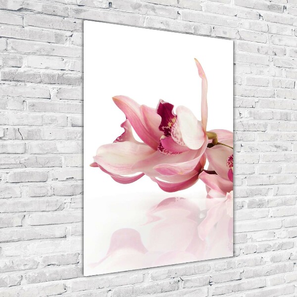 Quadro stampa su vetro acrilico verticale Orchidea rosa
