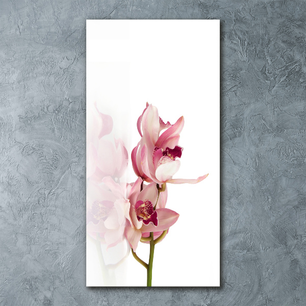 Quadro stampa su vetro acrilico verticale Orchidea rosa