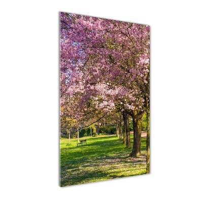 Quadro acrilico verticale Alberi di ciliegio