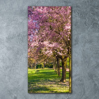 Quadro acrilico verticale Alberi di ciliegio