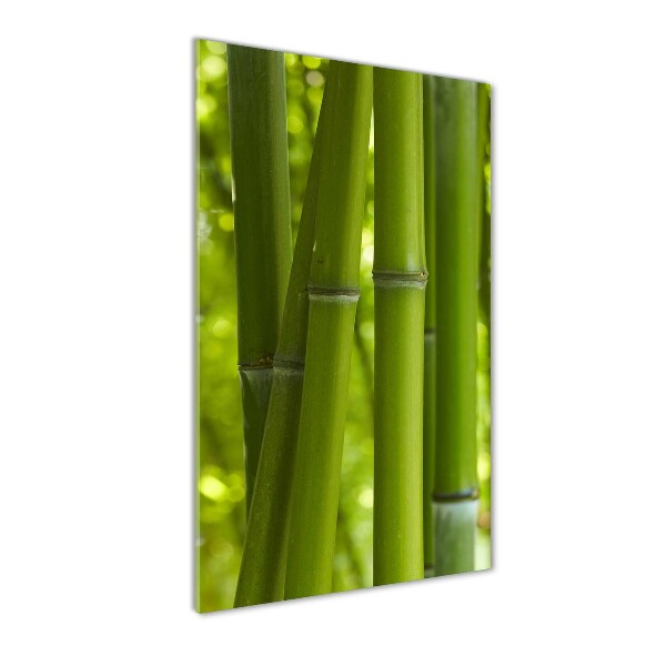 Quadro vetro acrilico verticale Foresta di bambù