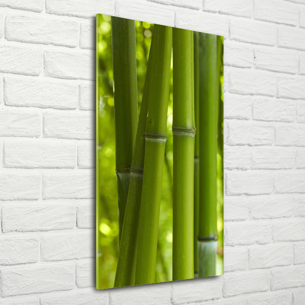 Quadro vetro acrilico verticale Foresta di bambù