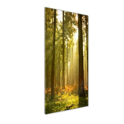 Quadro in vetro acrilico verticale Bellissima foresta