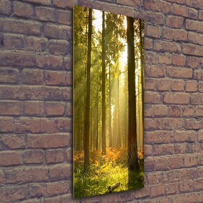 Quadro in vetro acrilico verticale Bellissima foresta