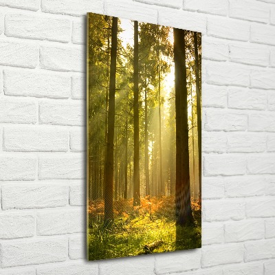 Quadro in vetro acrilico verticale Bellissima foresta