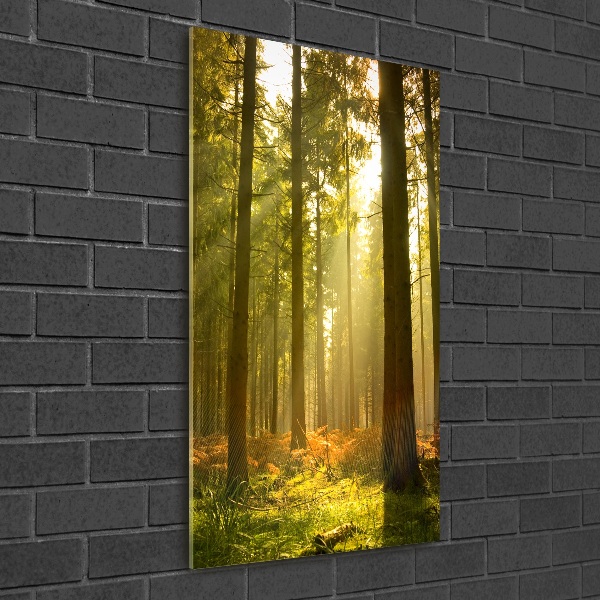 Quadro in vetro acrilico verticale Bellissima foresta