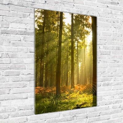 Quadro in vetro acrilico verticale Bellissima foresta