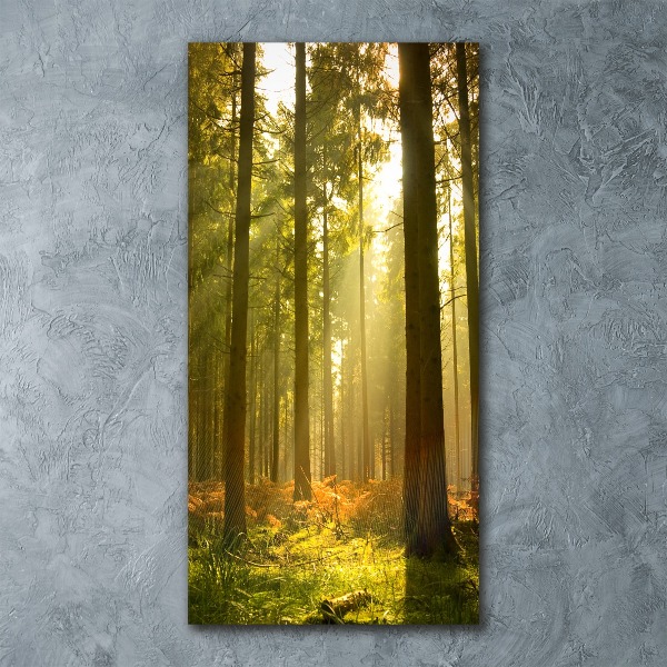 Quadro in vetro acrilico verticale Bellissima foresta