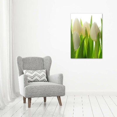 Quadro in vetro acrilico verticale Tulipani bianchi