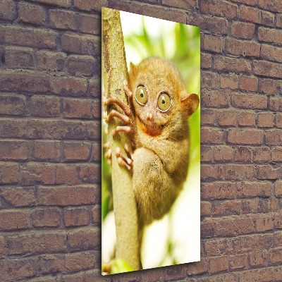 Quadro acrilico verticale Tarsio fantasma