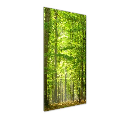 Quadro in vetro acrilico verticale Foresta di faggi