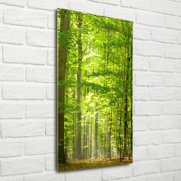 Quadro in vetro acrilico verticale Foresta di faggi