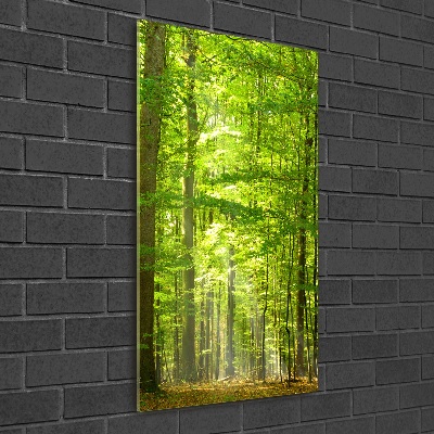 Quadro in vetro acrilico verticale Foresta di faggi