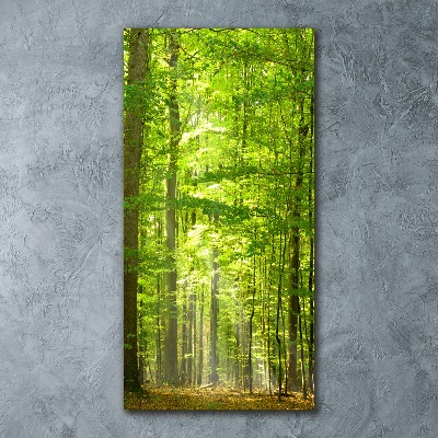 Quadro in vetro acrilico verticale Foresta di faggi