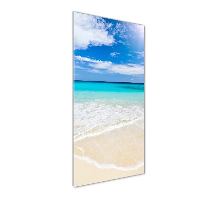 Quadro in vetro acrilico verticale Spiaggia tropicale