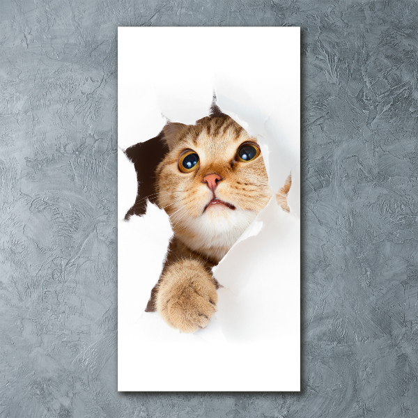 Quadro stampa su vetro acrilico verticale Gatto