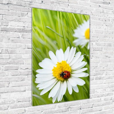 Quadro in vetro acrilico verticale Margherite