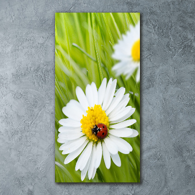 Quadro in vetro acrilico verticale Margherite