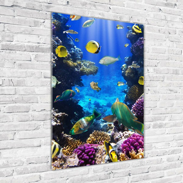 Quadro in vetro acrilico verticale Barriera corallina