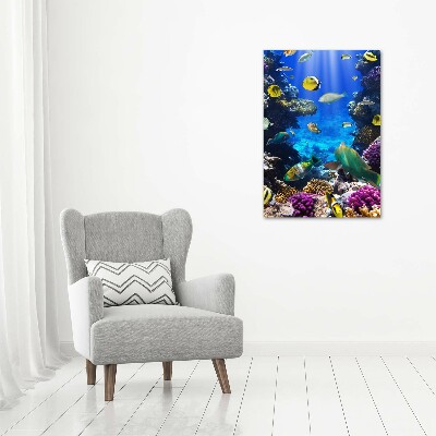 Quadro in vetro acrilico verticale Barriera corallina
